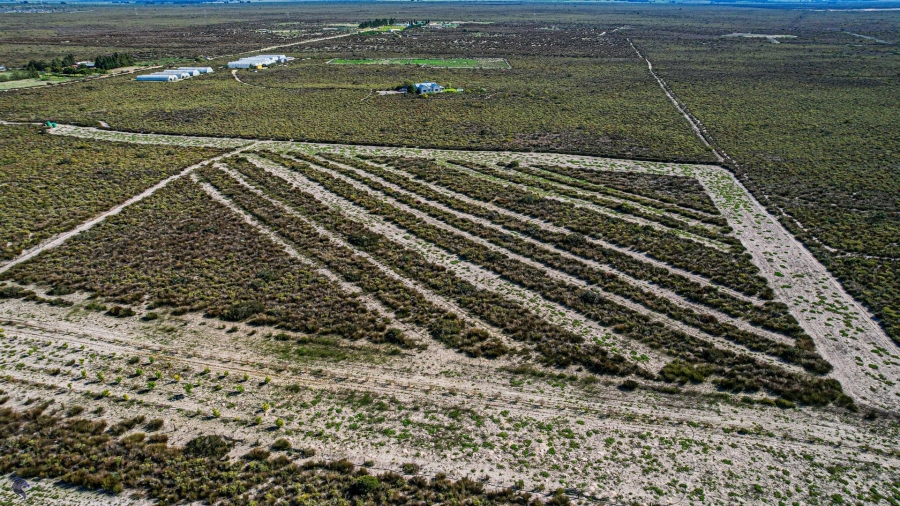 Commercial Property for Sale in Hartebeesfontein Western Cape